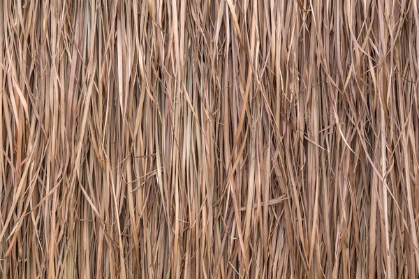 茅草屋顶背景，干草或干草背景 — 图库照片