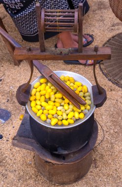 İpek üretim süreci, koza ipekböceği yumurtadan yapım 