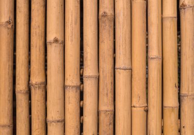 Bambu çit arka plan doku deseninin