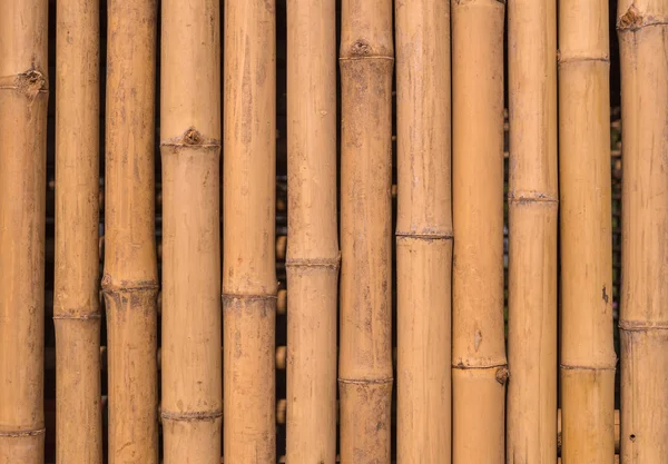 Cerca de bambu fundo textura padrão — Fotografia de Stock