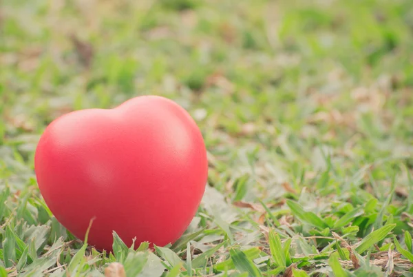 Corazón rojo enamorado del día de San Valentín con fondo de hierba verde —  Fotos de Stock