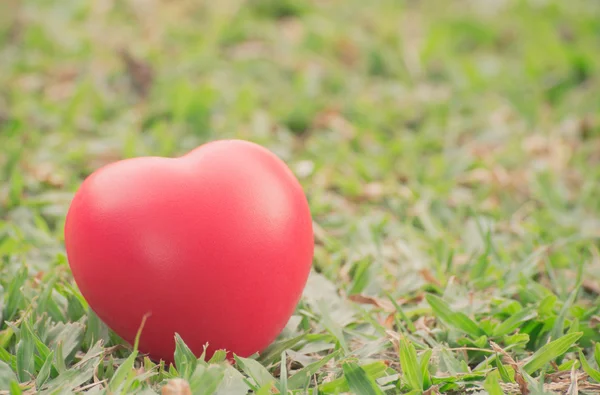 Serce miłości w Walentynki na zielonej trawie — Zdjęcie stockowe