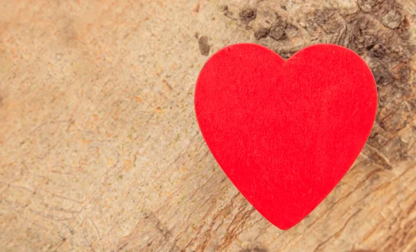 Sevgililer günü ağaç aşık kalbinde — Stok fotoğraf