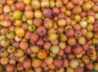 Maymun elma meyve pazarında