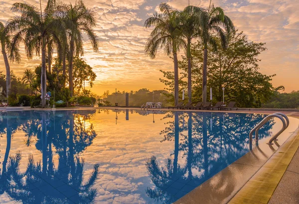 Luxury swimming pool with plam tree at during sunrise — Stock Photo, Image