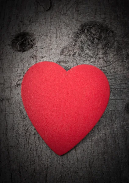 Heart of love in Valentine's day on tree — Stock Photo, Image