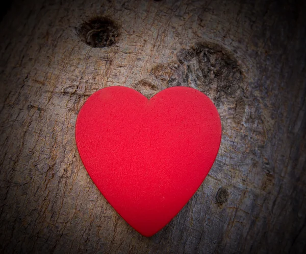 Corazón del amor en el día de San Valentín en el árbol —  Fotos de Stock