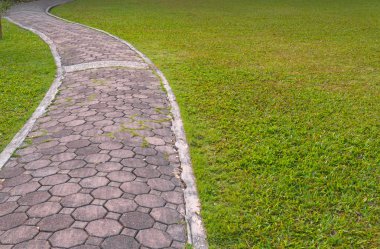 yolu ile Park yeşil çimen