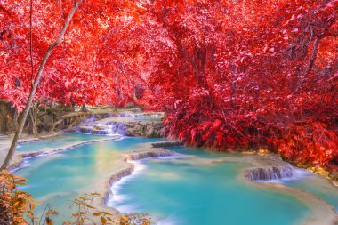 Şelale (Tat Kuang Si Waterfalls Luang praba, yağmur ormanlarında