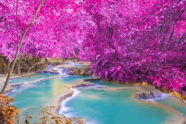 Cascada en la selva tropical (Tat Kuang Si Cascadas en Luang praba — Foto de Stock