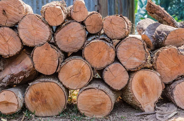 Firewood stacked up in a pile for kindle — Stock Photo, Image