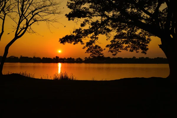 Hermosa puesta de sol sobre el lago con silueta de árbol — Foto de Stock