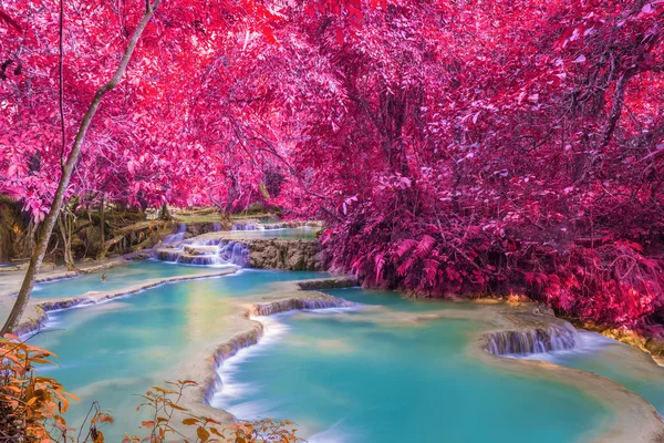 Cachoeira na floresta tropical (Tat Kuang Si Cachoeiras em Luang praba — Fotografia de Stock