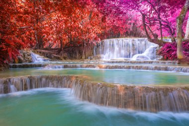 Şelale (tat kuang sı şelaleler luang prabang, laos, yağmur ormanlarında.)