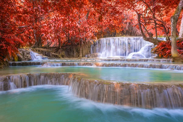 Vízesés esőerdőkben (tat kuang si vízesés: luang prabang, Laosz.) — Stock Fotó