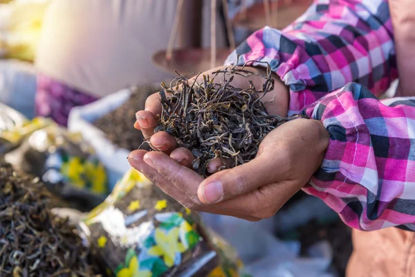 有机绿茶干燥过程后在市场上挑选手 — 图库照片