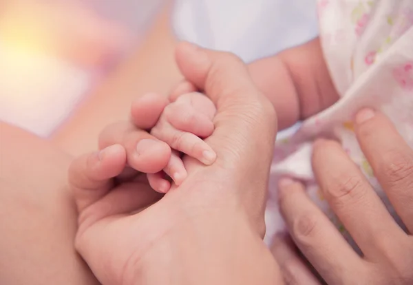 Novo bebê nascido mão na mãe palma . — Fotografia de Stock