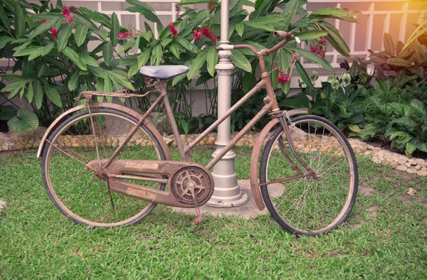Old bicycle in public park vintage style — Stock Photo, Image