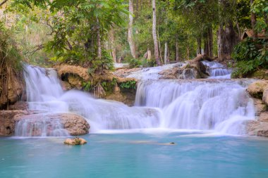 Şelale (Tat Kuang Si Waterfalls Luang praba, yağmur ormanlarında