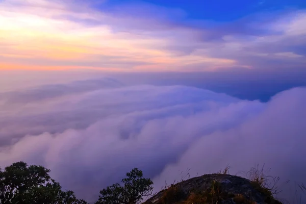 Colorido de la escena del amanecer con niebla en la montaña en Doi Mokoju Th —  Fotos de Stock