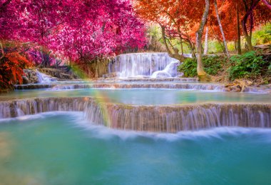 Şelale (Tat Kuang Si Waterfalls Luang praba, yağmur ormanlarında