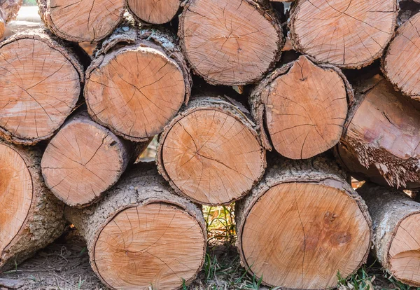 Firewood stacked up in a pile for kindle — Stock Photo, Image