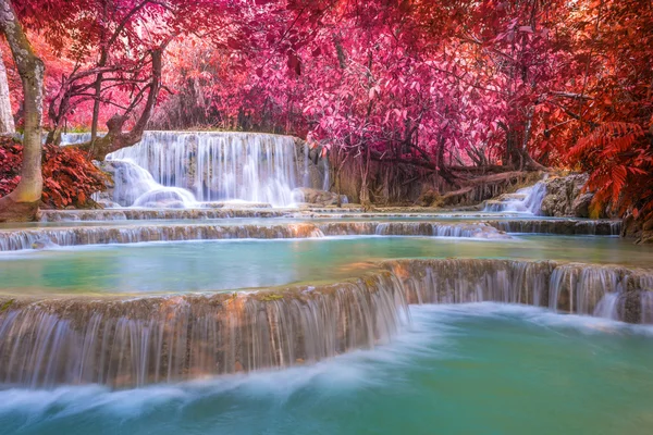 Cachoeira na floresta tropical (Tat Kuang Si Cachoeiras em Luang praba — Fotografia de Stock