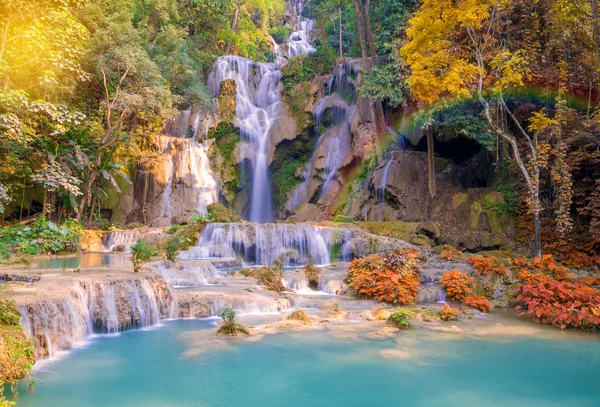 Cachoeira na floresta tropical (Tat Kuang Si Cachoeiras em Luang praba — Fotografia de Stock