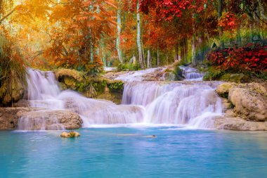 Şelale (Tat Kuang Si Waterfalls Luang praba, yağmur ormanlarında