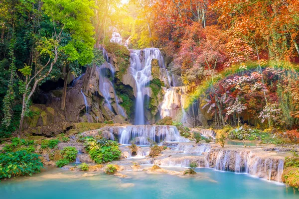 Cascata nella foresta pluviale (Tat Kuang Si Waterfalls at Laos .) — Foto Stock