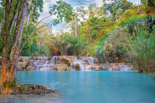 Vízesés esőerdőkben (Tat Kuang Si csodálatos vízesésekkel Laosz.) — Stock Fotó
