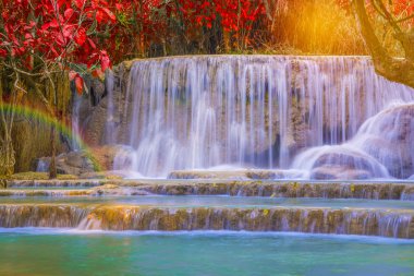 Şelale (Tat Kuang Si Waterfalls Laos, yağmur ormanlarında.)