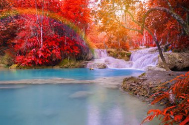 Şelale (Tat Kuang Si Waterfalls Laos, yağmur ormanlarında.)