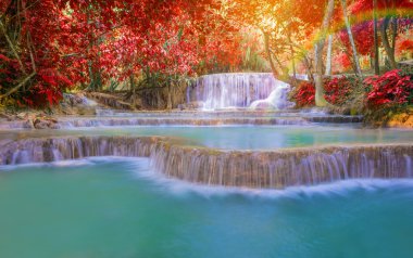 Şelale (Tat Kuang Si Waterfalls Laos, yağmur ormanlarında.)