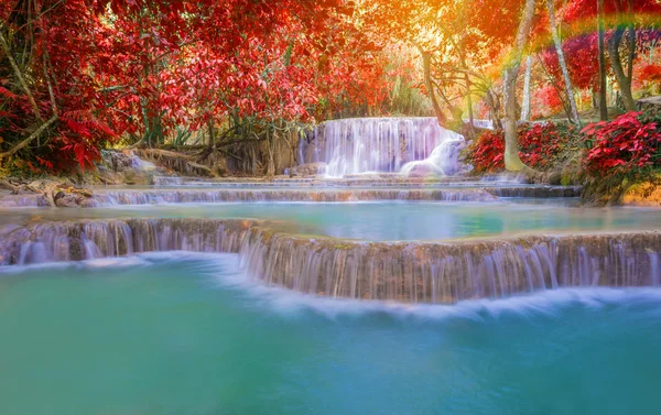 Vattenfall i regnskogen (Tat Kuang Si Waterfalls på Laos.) — Stockfoto