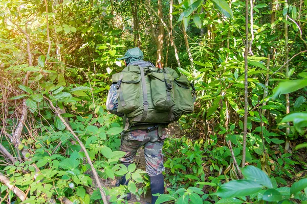 Soldato o chasseur a piedi attraverso una foresta con erba lussureggiante — Foto Stock