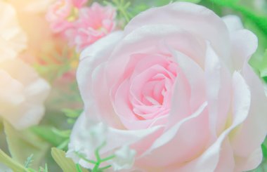 Çiçek kumaş çiçek arka plan ile