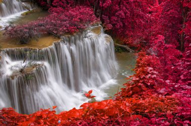 derin yağmur ormanları jungle şelale (huay mae kamin şelale)