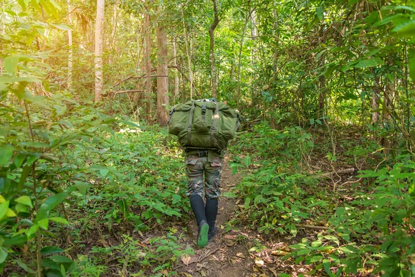 Soldier or chasseur walking through a forest with lush grass — Stock Photo, Image