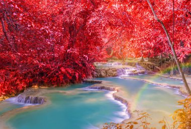 Şelale (Tat Kuang Si Waterfalls Laos, yağmur ormanlarında.)