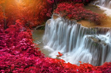 derin yağmur ormanları jungle şelale (huay mae kamin şelale)