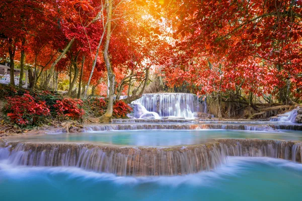 Waterfall in rain forest ( Tat Kuang Si Waterfalls at Luang prab — Stockfoto