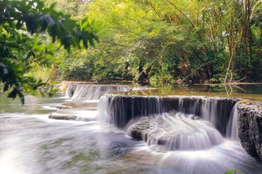 Ulusal Park'ta yağmur ormanlarında şelale
