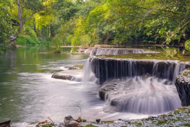 Ulusal Park'ta yağmur ormanlarında şelale
