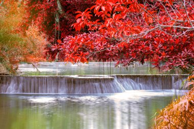 Ulusal Park'ta yağmur ormanlarında şelale
