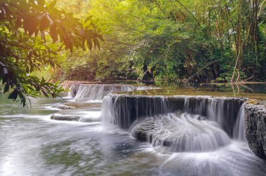 Ulusal Park'ta yağmur ormanlarında şelale