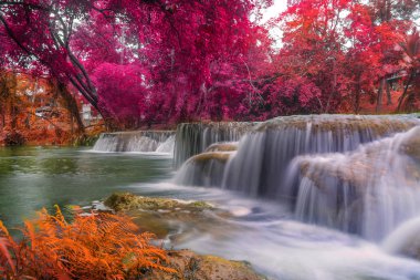 Ulusal Park'ta yağmur ormanlarında şelale