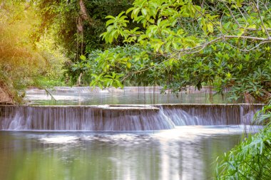 Ulusal Park'ta yağmur ormanlarında şelale