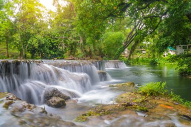 Ulusal Park'ta yağmur ormanlarında şelale