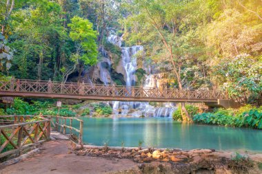 Şelale Luang praba, Tat Kuang Si Waterfalls yağmur ormanlarında